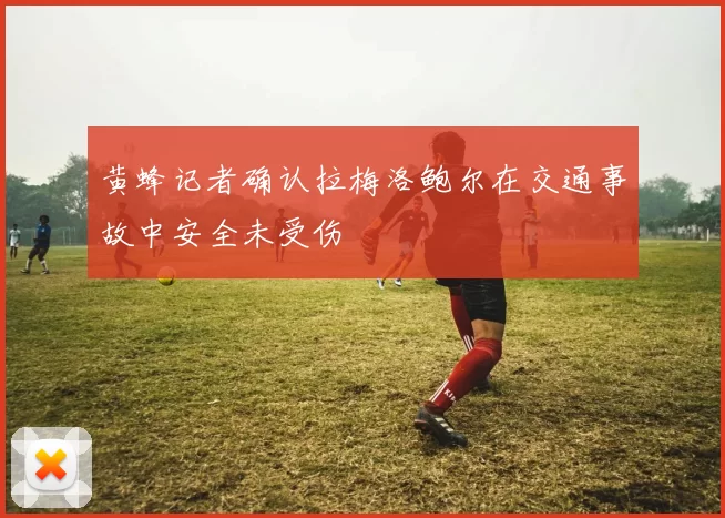 黄蜂记者确认拉梅洛鲍尔在交通事故中安全未受伤