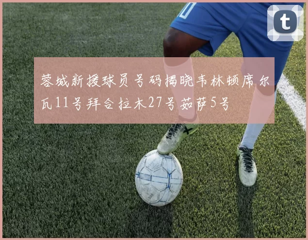 蓉城新援球员号码揭晓韦林顿席尔瓦11号拜合拉木27号茹萨5号